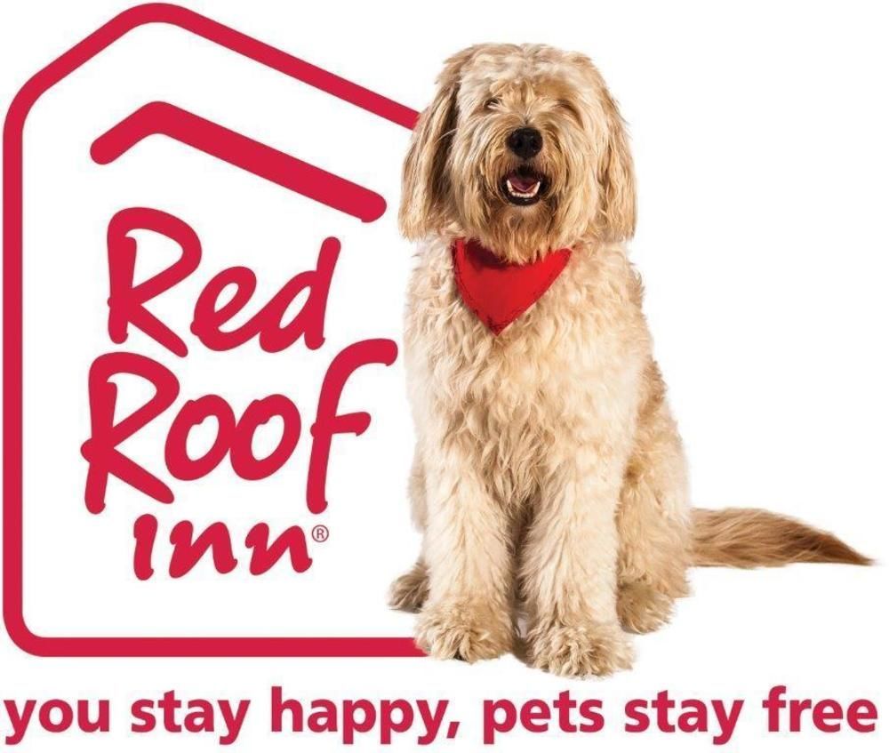 Red Roof Inn Plus+ El Paso East Εξωτερικό φωτογραφία